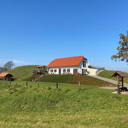 Tourist Farm Artisek Villa Store Buitenkant foto